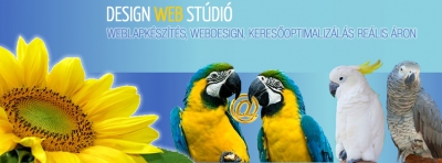 Design Web Stúdió